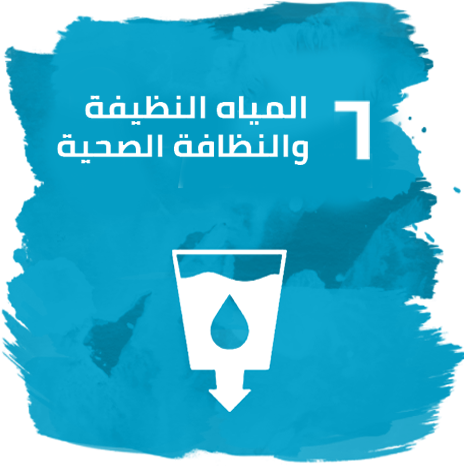 الهدف 6