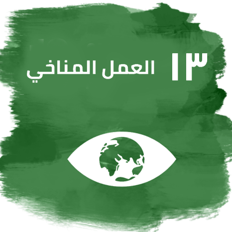 الهدف 13