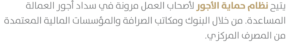 يتيح نظام حماية الأجور لأصحاب العمل مرونة في سداد أجور العمالة المساعدة. من خلال البنوك ومكاتب الصرافة والمؤسسات الما...