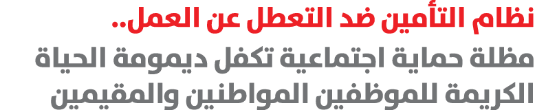 نظام التأمين ضد التعطل عن العمل.. مظلة حماية اجتماعية تكفل ديمومة الحياة الكريمة للموظفين المواطنين والمقيمين 