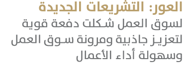 العور: التشريعات الجديدة لسوق العمل شكلت دفعة قوية لتعزيز جاذبية ومرونة سوق العمل وسهولة أداء الأعمال 