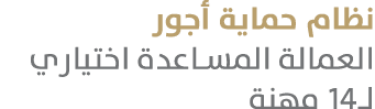 نظام حماية أجور العمالة المساعدة اختياري لـ14 مهنة