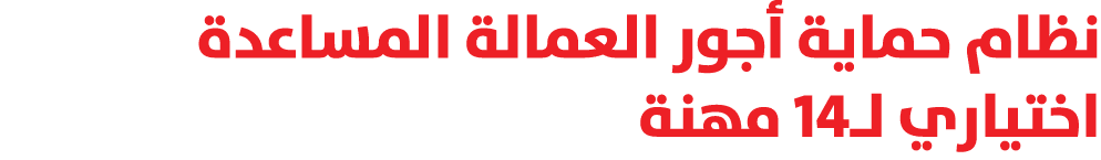 نظام حماية أجور العمالة المساعدة اختياري لـ14 مهنة