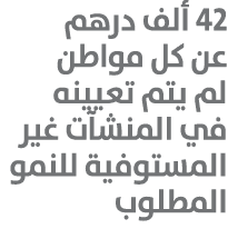 42 ألف درهم عن كل مواطن لم يتم تعيينه في المنشآت غير المستوفية للنمو المطلوب 