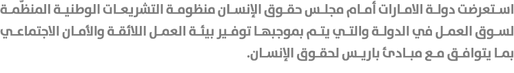 استعرضت دولة الامارات أمام مجلس حقوق الإنسان منظومة التشريعات الوطنية المنظّمة لسوق العمل في الدولة والتي يتم بموجبها...