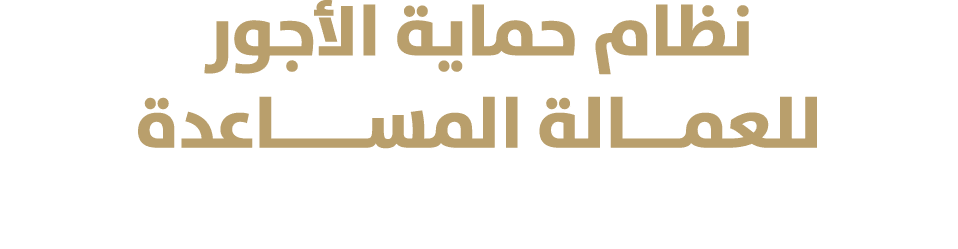 نظام حماية الأجور للعمـــالة المســـــاعدة