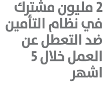 2 مليون مشترك في نظام التأمين ضد التعطل عن العمل خلال 5 اشهر