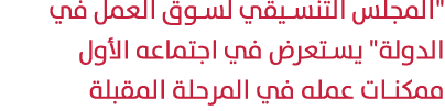 \“المجلس التنسيقي لسوق العمل في الدولة\" يستعرض في اجتماعه الأول ممكنات عمله في المرحلة المقبلة 