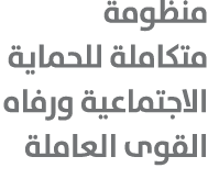 منظومة متكاملة للحماية الاجتماعية ورفاه القوى العاملة