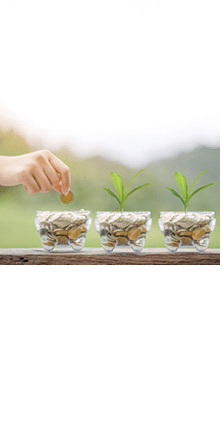 Hand putting coin into the glass jar with young plant.Money savings, investment, making money for future,