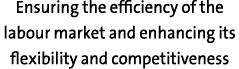 Ensuring the efficiency of the labour market and enhancing its flexibility and competitiveness