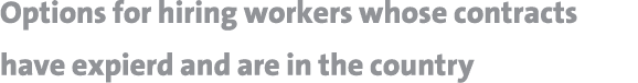 Options for hiring workers whose contracts have expierd and are in the country