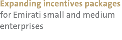 Expanding incentives packages for Emirati small and medium enterprises 
