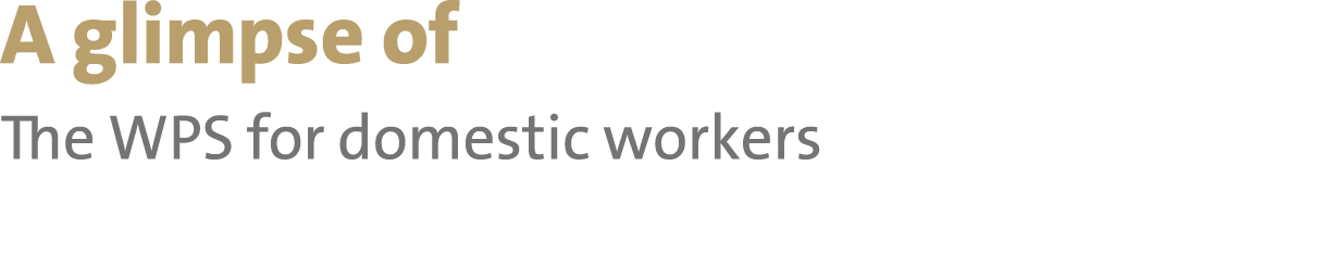 A glimpse of The WPS for domestic workers