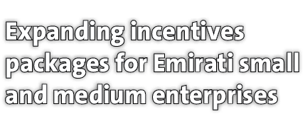 Expanding incentives packages for Emirati small and medium enterprises 