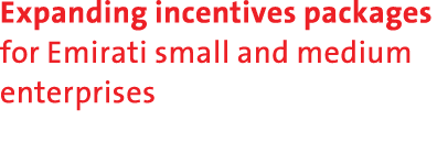 Expanding incentives packages for Emirati small and medium enterprises 