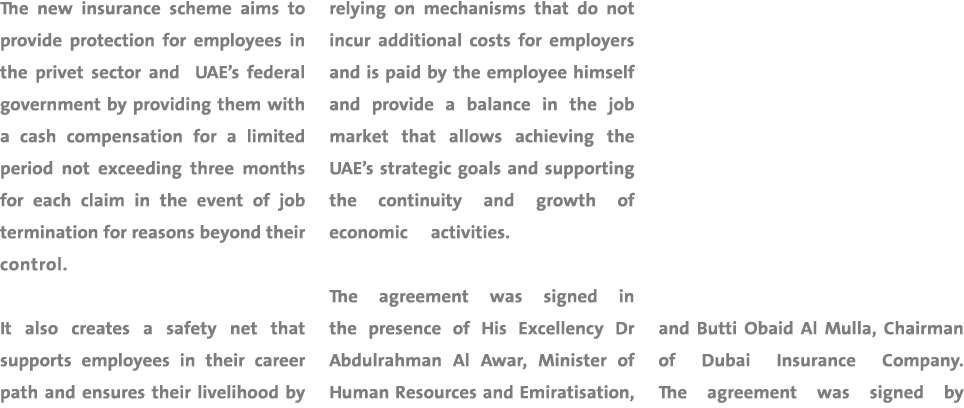 The new insurance scheme aims to provide protection for employees in the privet sector and UAE’s federal government b...