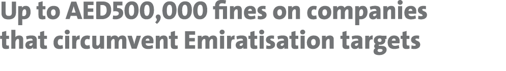 Up to AED500,000 fines on companies that circumvent Emiratisation targets 