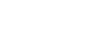 Complete the required information and accept the terms and conditions
