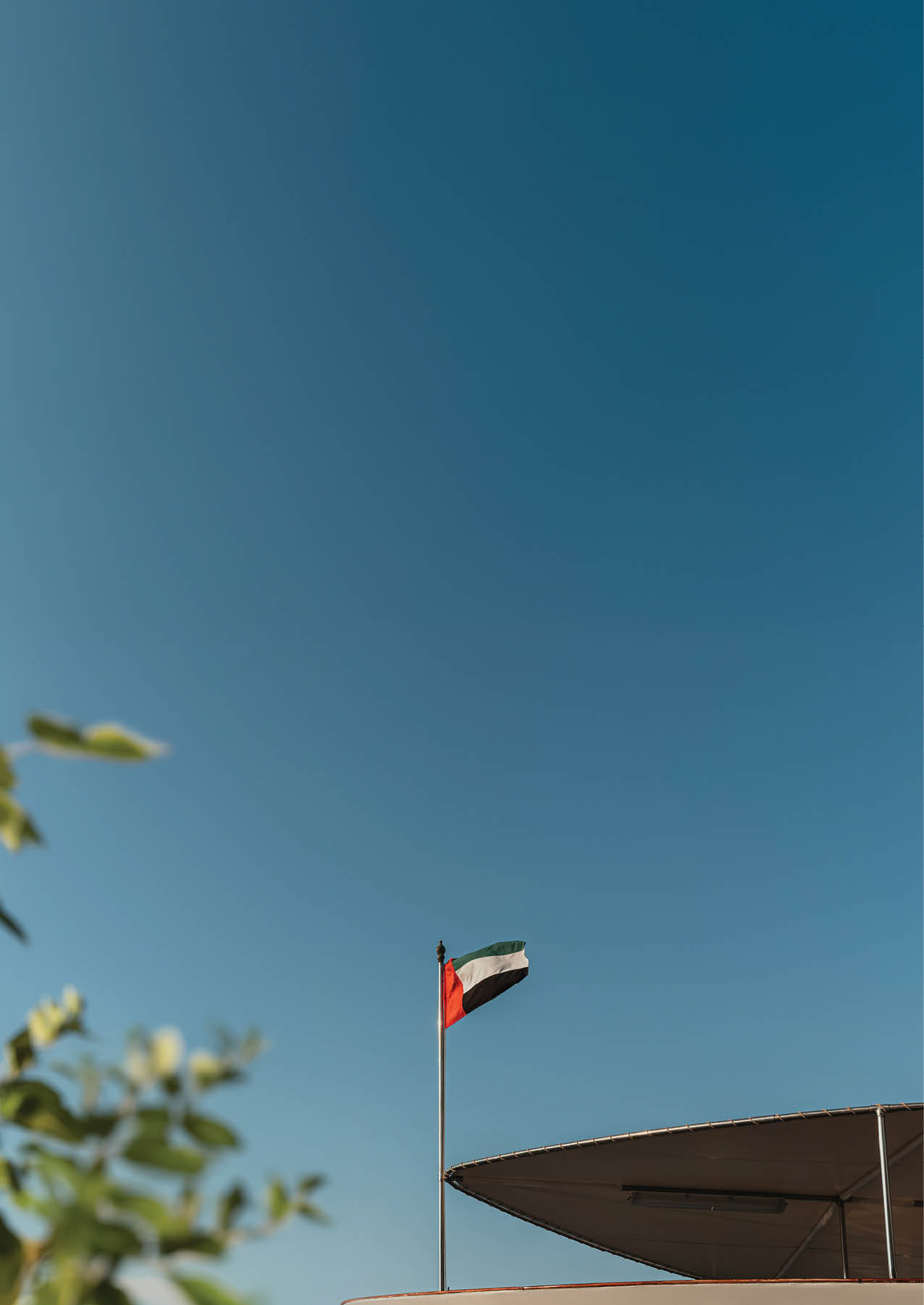 UAE flag waving in a clear blue sky with green blurred tree on the background