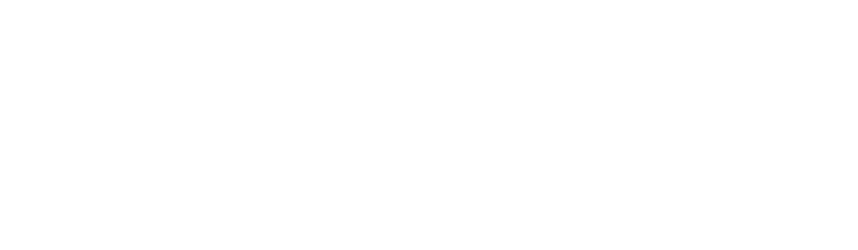 Mansour bin Zayed: The UAE is setting the standard in Excellence and Leadership 