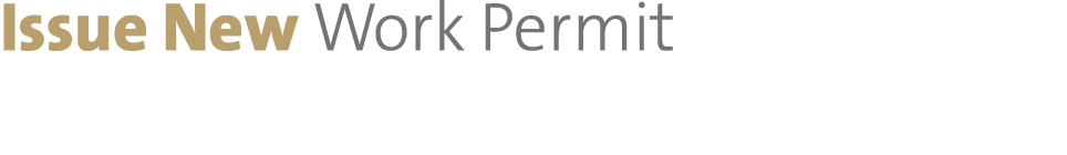 Issue New Work Permit