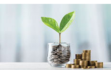 Glass jar filled with coins and a small seedling in the center, with stacks of coins arranged from smallest to largest on a table. Highlights the concept of saving and financial growth