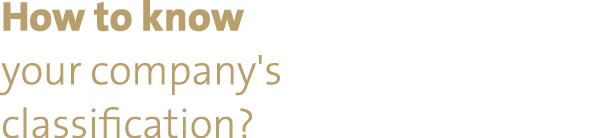 How to know your company's classification?