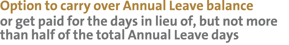 Option to carry over Annual Leave balance or get paid for the days in lieu of, but not more than half of the total An...