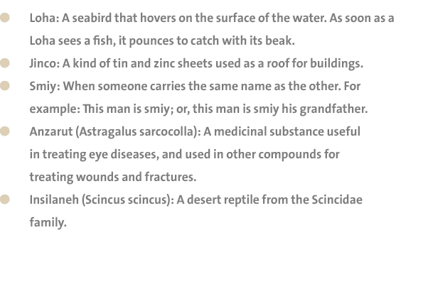  Loha: A seabird that hovers on the surface of the water. As soon as a Loha sees a fish, it pounces to catch with its...